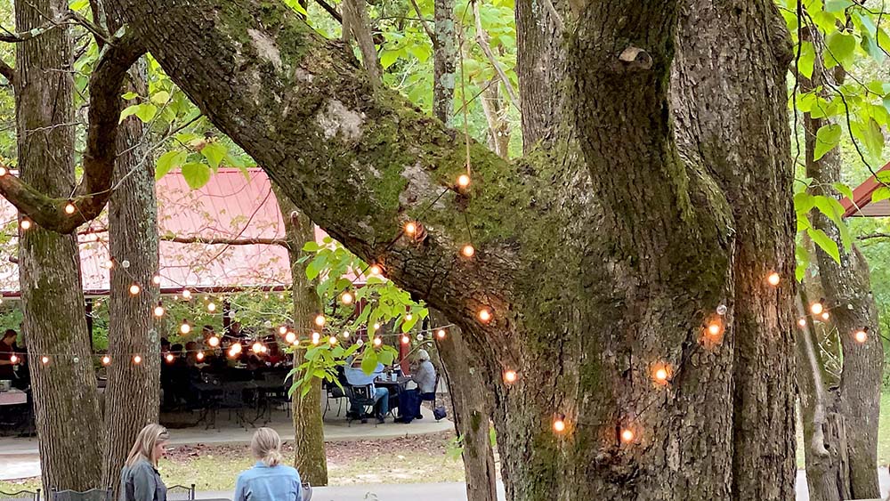 River Ridge Winery