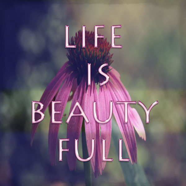 Retro Vintage Before and After