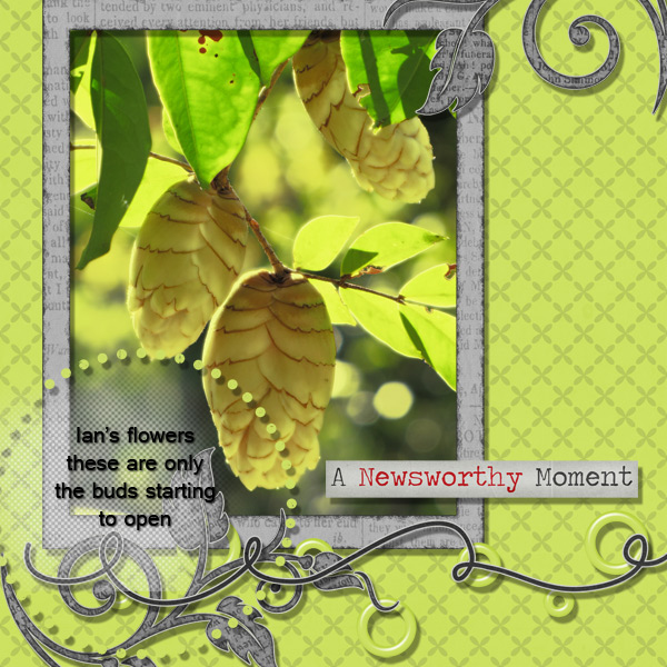 Filter Tutorial - Diffuse Glow